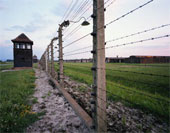 Auschwitzfence
